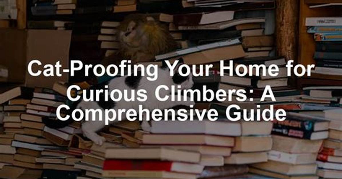 A Guide for Curious Climbers