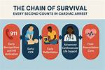 A Story of Cardiac Arrest and Survival