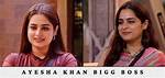 Ayesha Khan: the Bigg Boss Connection with Her Boyfriend
