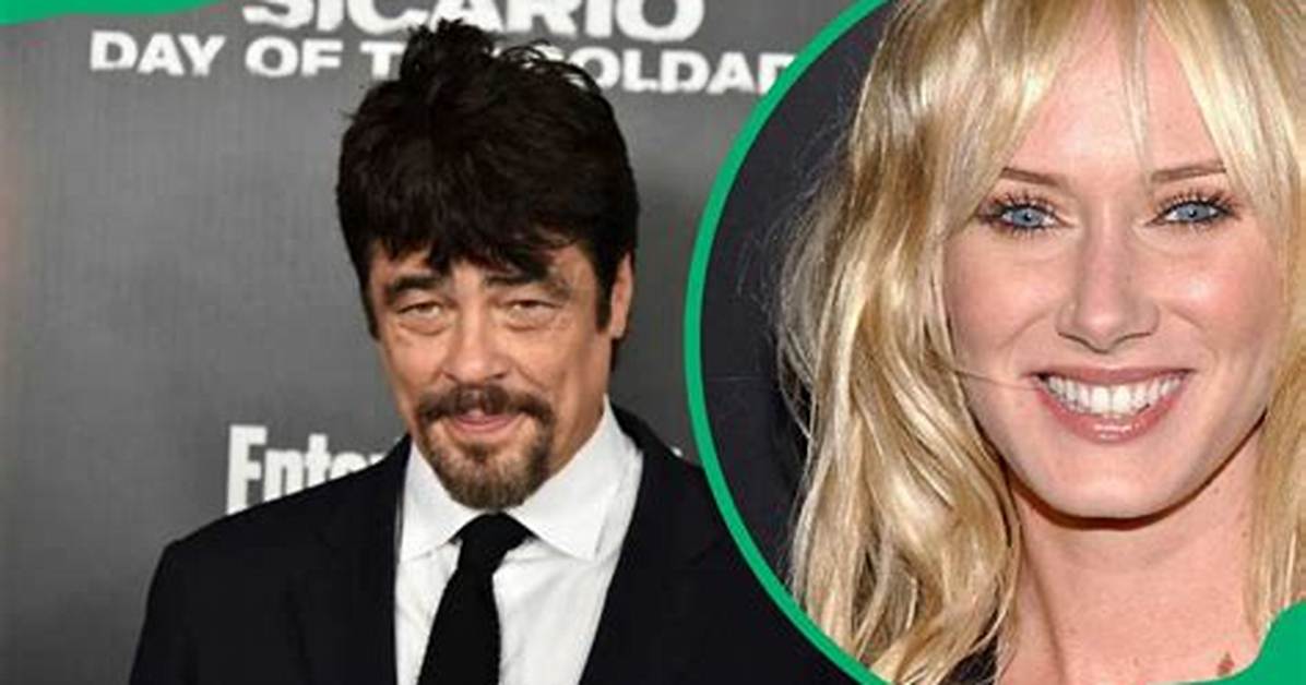Benicio Del Toro's Wife in 2024: a Closer Look at Their Relationship
