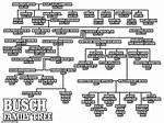 Busch Family Tree and Heirs to the Billion Dollars Net Worth