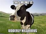 Cows Meme: the Udderly Hilarious Internet Phenomenon