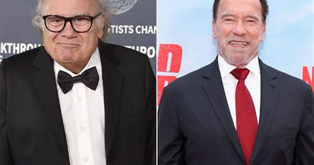 Danny Devito Says He and Arnold Schwarzenegger Missed out on Making Twins Sequel: He