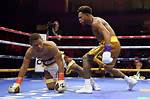 Devin Haney - Weblogy