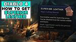 Diablo 4 Superior Leather (How to Get, Farming & Uses)
