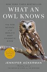 Discover Hidden Truths About These Enigmatic Birds