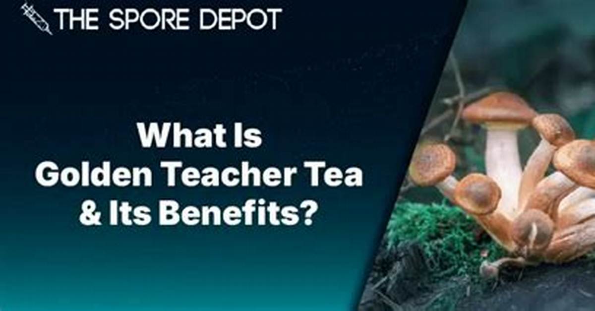 Discovering the Wonders of Golden Teacher Tea