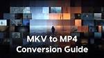 Discovering the World of Mkv Movies Point Download