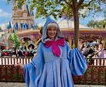 Disney's Enchanting Princes: a Royal Guide to the Beloved Heroes