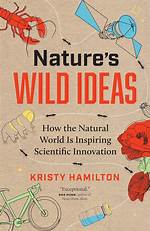 Dive into the Inspiring World of Kristy Greenberg: Surfing, Conservation, and Empowerment