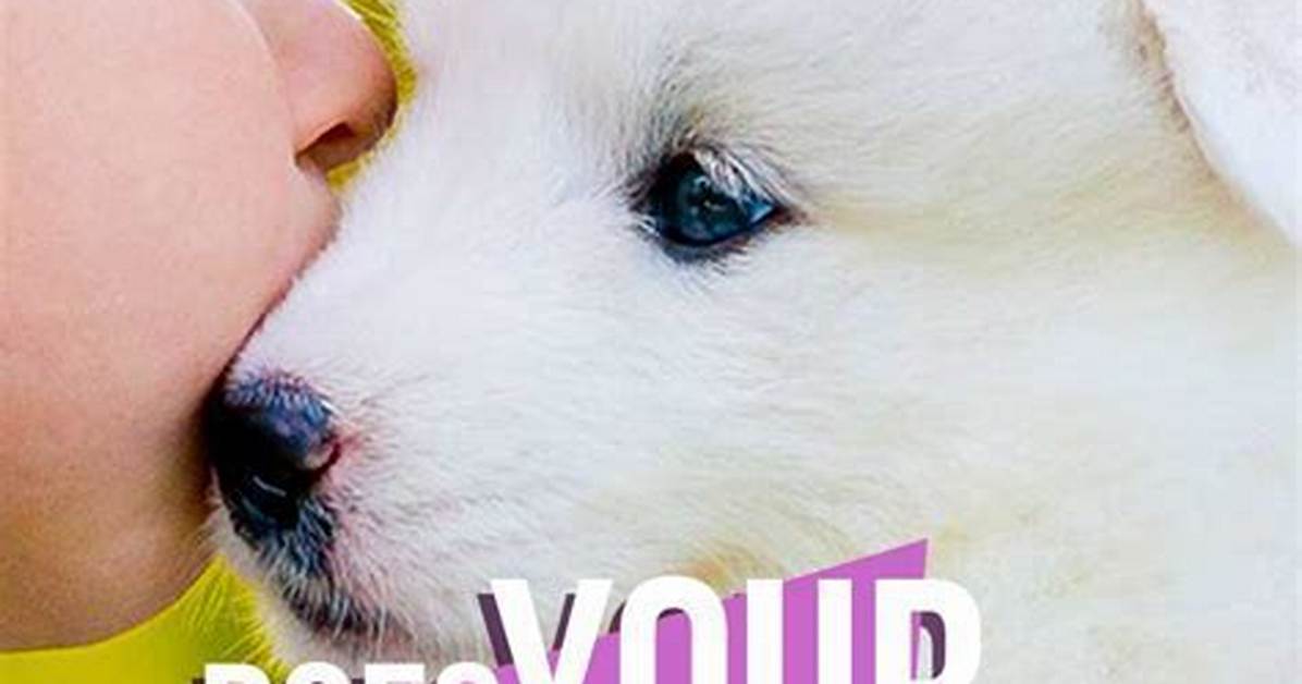 Do Dogs Like Being Kissed? Understanding Canine Affection