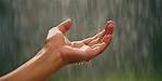 Embracing the Rain: a Heartwarming Rainy Day Good Morning Message