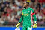 Exploring Mike Maignan's Nationality: a Deep Dive