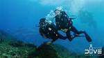 Exploring the Depths with Chelsea Marie Dive Boat