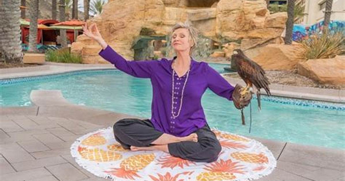 Exploring the Diverse World of Jane Lynch's Movies and Tv Shows