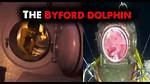 Exploring the Enigma: Byford Dolphin Autopsy Photos