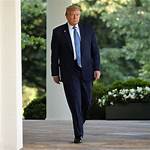 Exploring the Heights of the Trump Family: a Unique Perspective