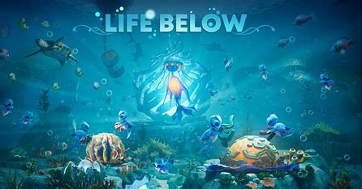 Exploring the Life and Adventures of Below Deck Anastasia