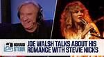 Exploring the Musical Synergy of Stevie Nicks and Joe Walsh