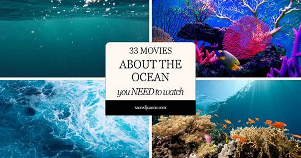 Exploring the Vast Ocean of Movies: a Cinematic Journey