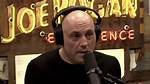 Exploring the Vibrant World of Joe Rogan's Daughters Art