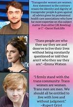 Exploring the World of Transgender Memes: Humor and Identity