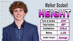 Exploring Walker Scobell Height 2023