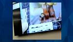 Gannon Stauch Suitcase Photos and Autopsy Report Update, Cause of Death Explained ·
