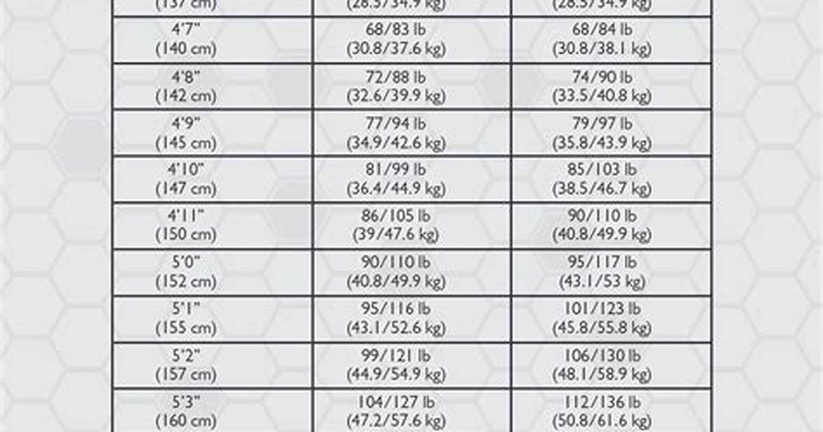 Height, Weight, Age, and Body Stats Unveiled