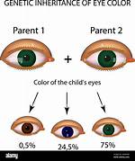 Inherited Disorder or an Eye Mutation ·