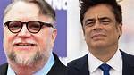 Is Benicio Del Toro Linked to Guillermo?