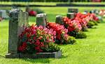 Josephine Jackson Obituary and Death Cause: Family Mourns the Loss
