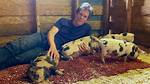 Kevin Bacon Moved to a Farm with His Wife After Losing Millions, and Theyve Never Been Happ