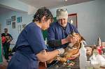 Latest Updates on Pol Veterinary Services News
