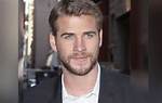 Liam Costner: a Hollywood Icon