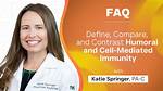 Meet Katie Springer: an Expert in [Field of Expertise]