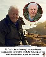 Meet the Attenborough Family: Uncovering Nature's Secrets Together