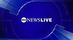 News - Dashvibe