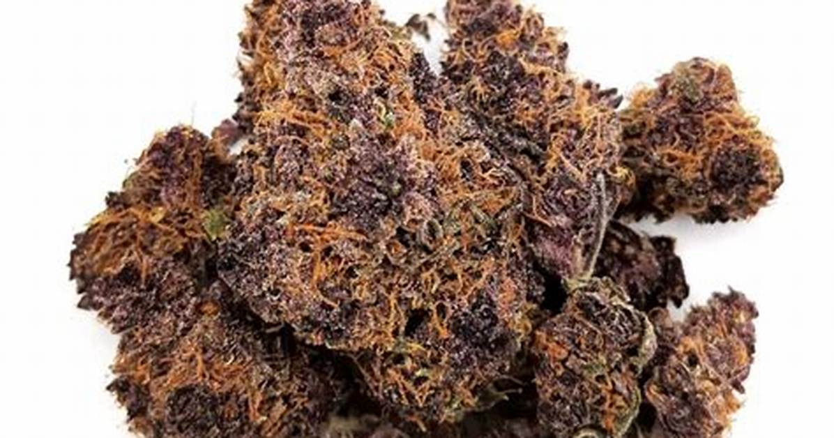 Overview of the Tropicana Cookies Cannabis Strain