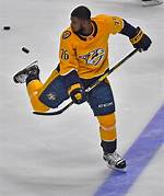 Professional Hockey Star: Raegan Subban