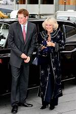 Queen Camilla and Prince Harry's Relationship: a Complex Tale of Rivalry and Reconciliation