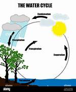 Quierio Agua: the Journey of Water and Its Importance