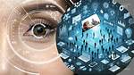 Revelations and Lessons Learned for Digital Privacy Protection