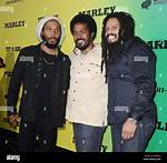 Rohan Marley Young: the Legacy of a Legend’s Son