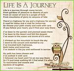 Rosanna Bradley: a Journey Through Her Life and Achievements