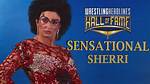 Sherri Wwe: the Glamorous Queen of Wrestling