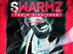 Swarmz | Bloglab