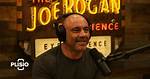 The Astounding Net Worth of Joe Rogan: a Financial Deep Dive