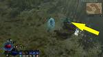 The Broken Bear Totem Location