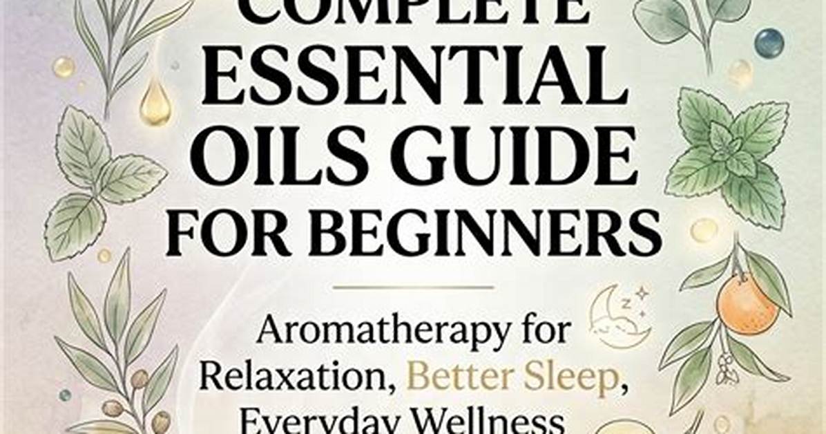 The Essential Guide: Nobblit for Beginners